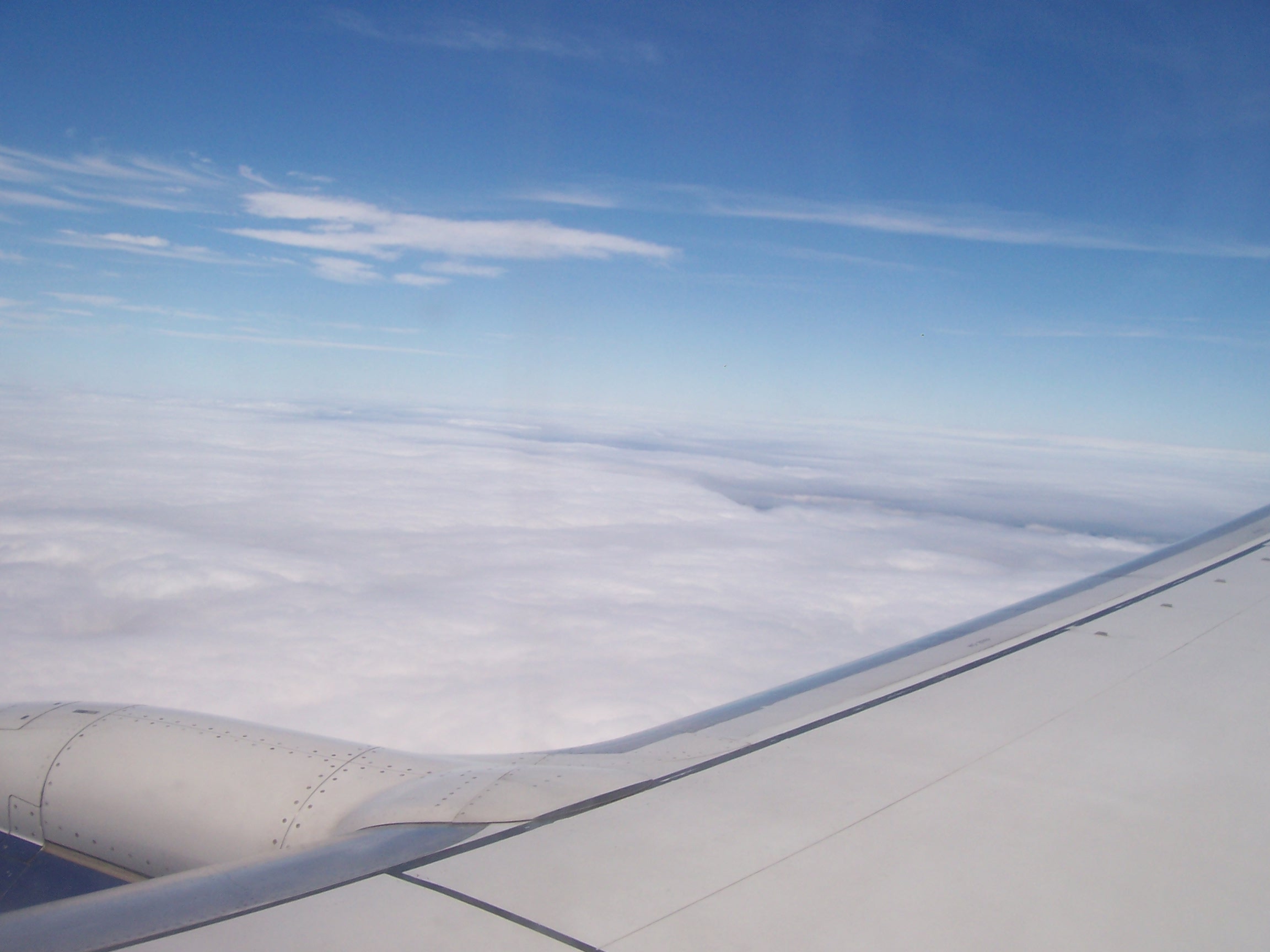 100_9184.JPG