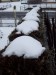 w9m_164605_m.jpg